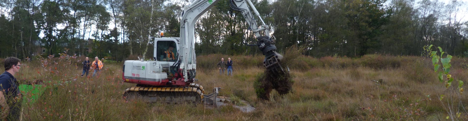 Uittrekken trosbosbes cover